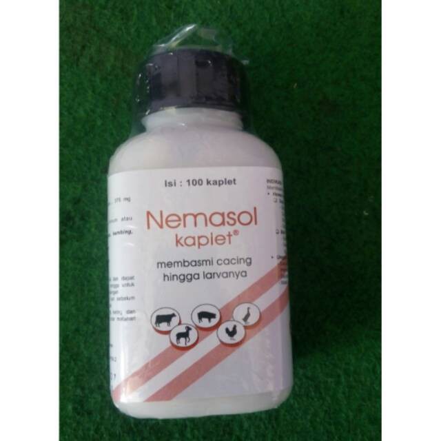 Produk Unggulan Nemasol 100 Kaplet / Membasmi Cacing Hingga Larva Stok Terbatas