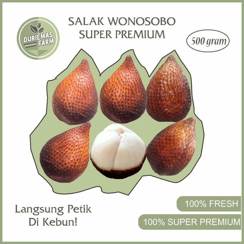 

Salak Pondoh Wonosobo Super Premium 100% Fresh