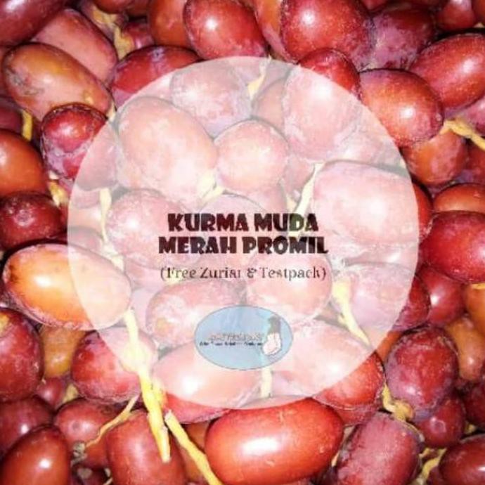 

Produk Terbaik Kurma Muda Promil Merah Fresh Mengkel