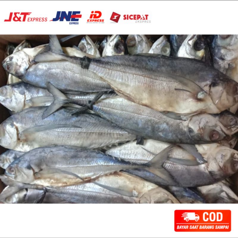 

Ikan asin cincaru kuda 500 gr