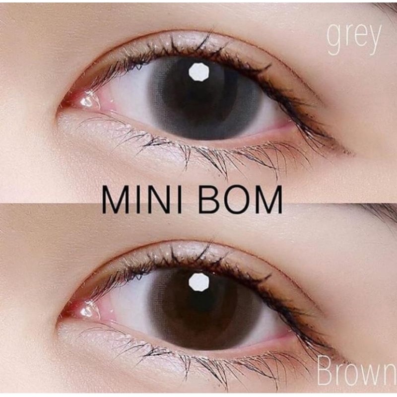 SOFTLENS MINI BOM GRAY GREY ABU NATURAL SOFT LOOK NORMAL MINUS s.d -10.00