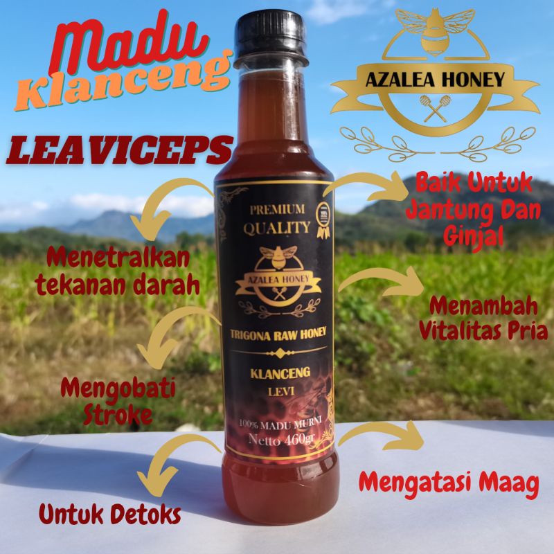 

Madu Klanceng Trigona Kelulut Leavyceps✅460gram‼️Asli Murni Raw Honey 100%✅ Honey 100%✅ Asli