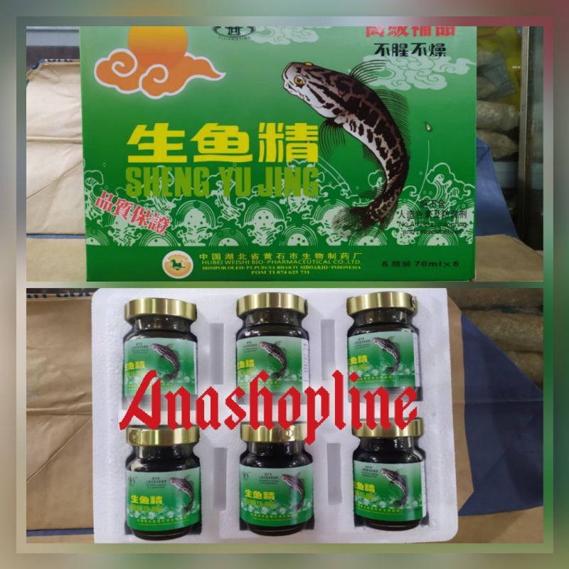 

Sari Pati Ikan Kutuk / Gabus