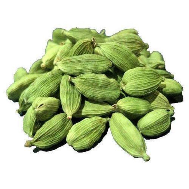  kapulaga  hijau  cardamom 10gr Shopee Indonesia