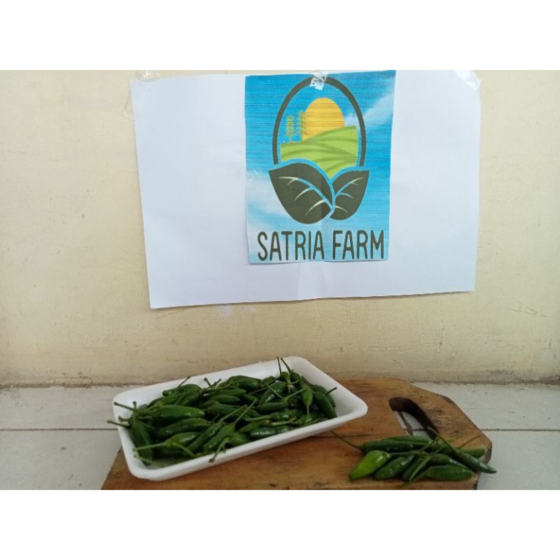 

Cabai Hijau Rawit Super