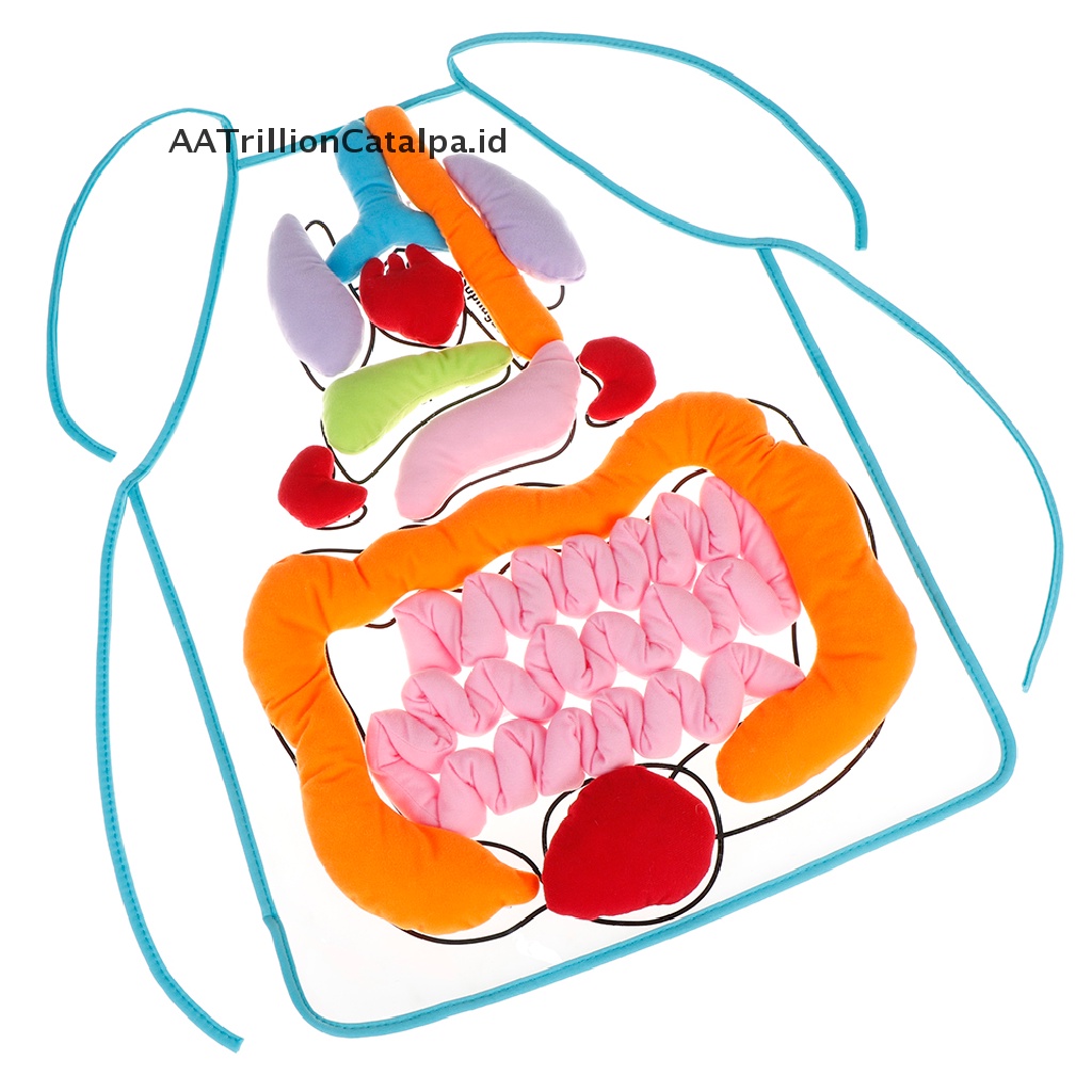 (AATrillionCatalpa) Apron / Celemek Motif Organ Tubuh Manusia Untuk Edukasi Anak