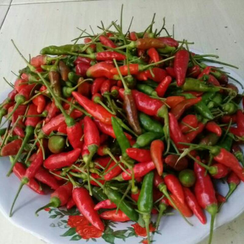 

Cabai kampung fresh segar 200gram