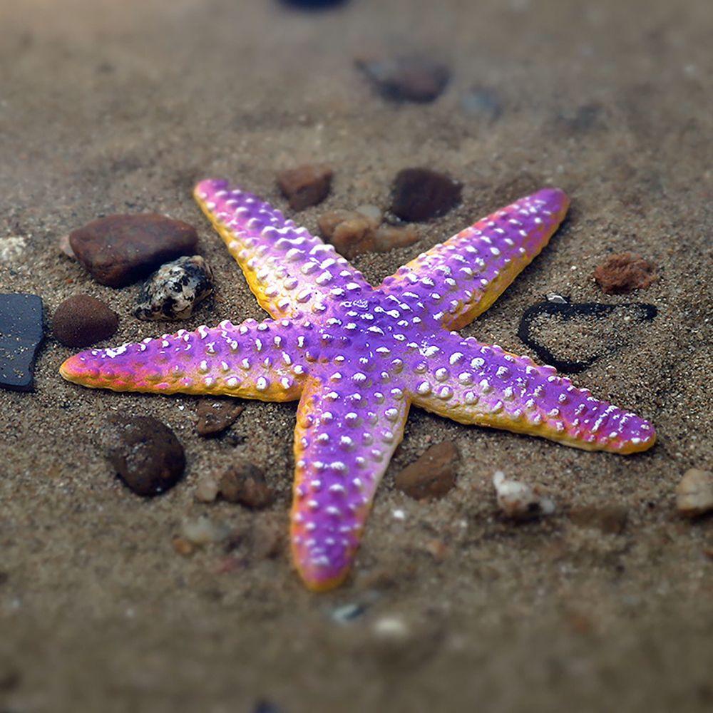 R-flower Miniatur Bintang Laut Untuk Dekorasi Micro Landscape