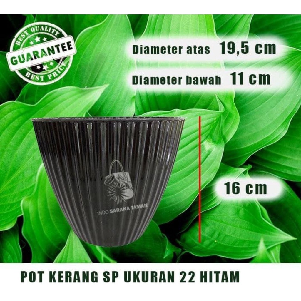POT KERANG SP 22 HITAM Pot Tanaman Pot Bunga Pot PLastik Pot Motif Pot Unik Grosir Pot