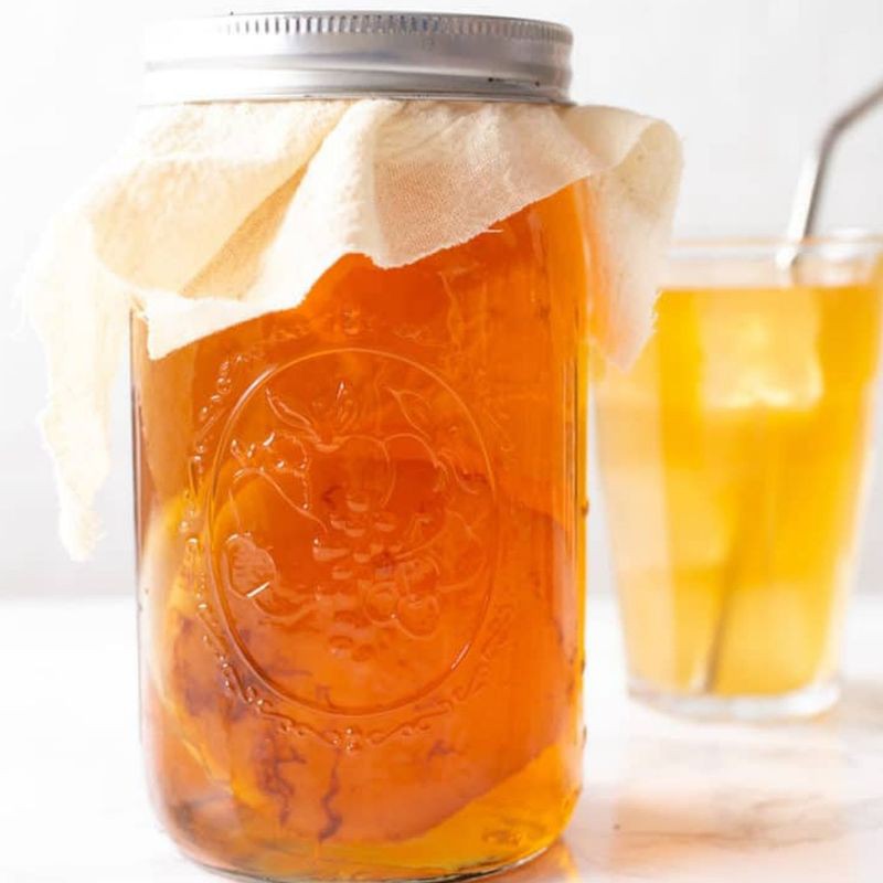 

Bibit Scoby Kombucha ASLI untuk pencernaan - sembelit - detoksifikasi