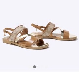 Everbest Axara original