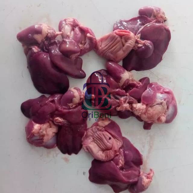 

ati ampela ayam broiler 10 pasang