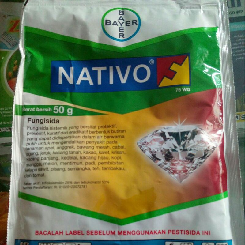 

native 50gr