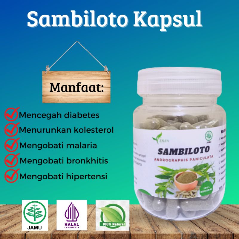 

Sambiloto Kapsul Asli Ekstrak Daun Sambiloto Herbal Diabetes Malaria Antivirus