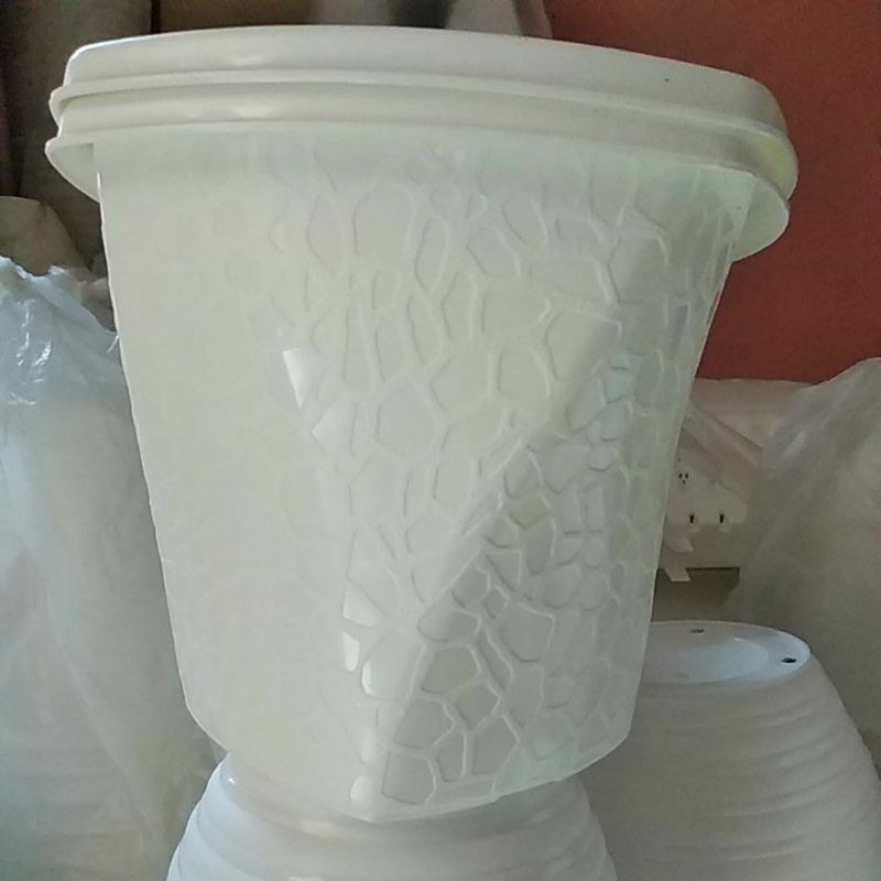 Pot coral twister putih cantik 20 c