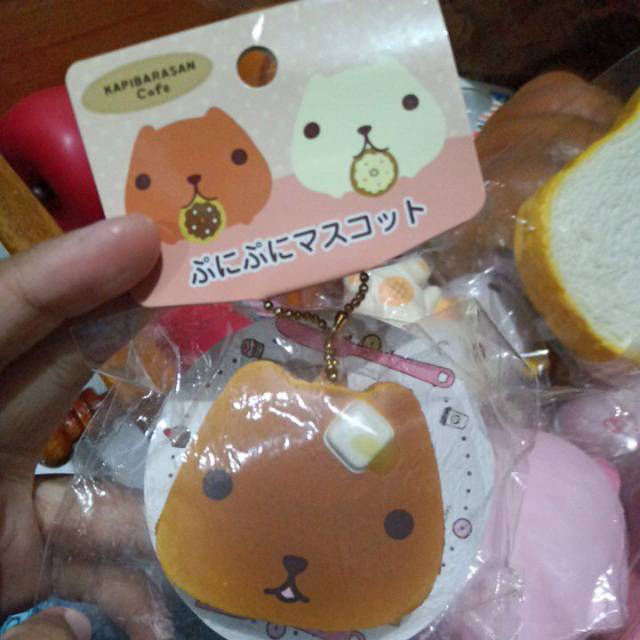 NIC KAPIBARASAN PANCAKE TRYWORKS RARE SQUISHY