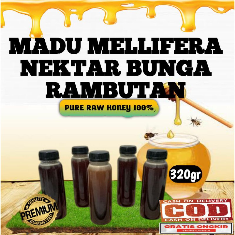 

Madu asli madu murni madu hutan apis mellifera nektar bunga rambutan 320gram