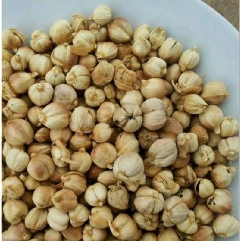 

buah kapulaga kering 1kg kapol aroma wangi lokal jawa
