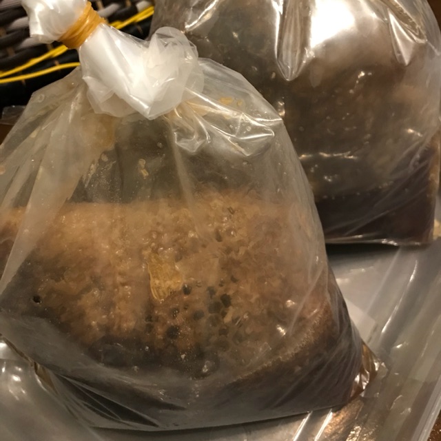 

Madu asli apis
