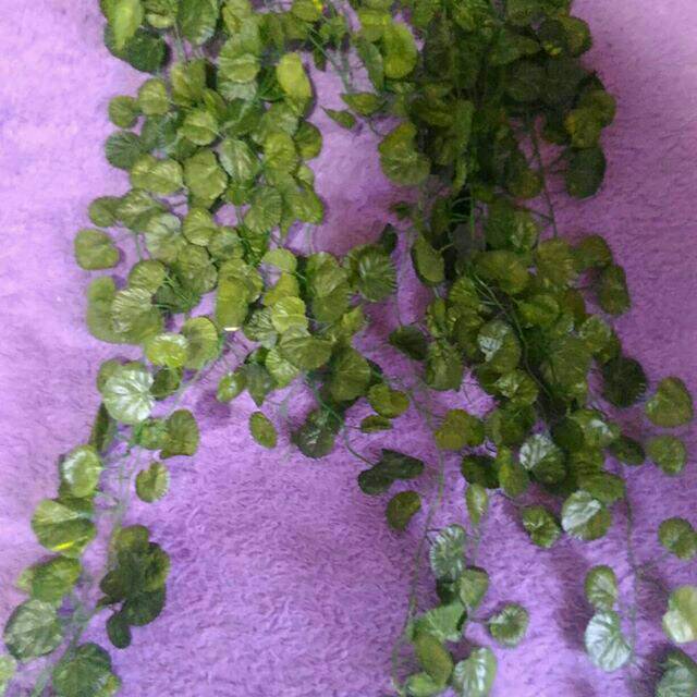 Daun rambat gantung sintetis