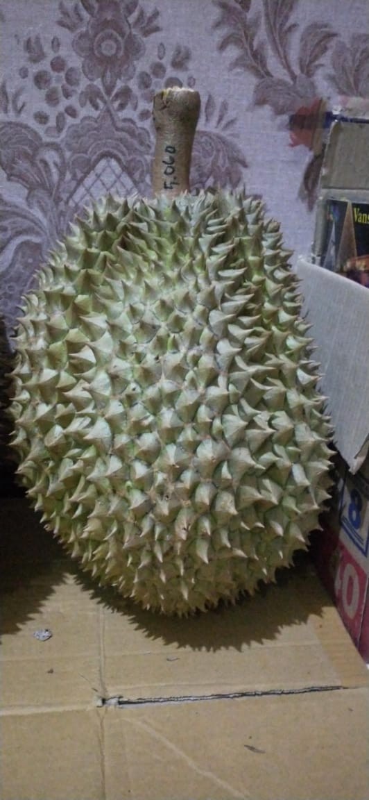 Wedang Alang-alang(isi 5 Sachet)