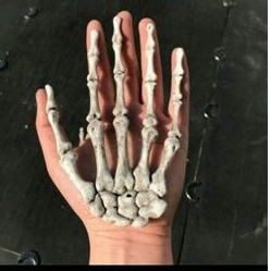 hiasan Halloween tulang tengkorak telapak tangan