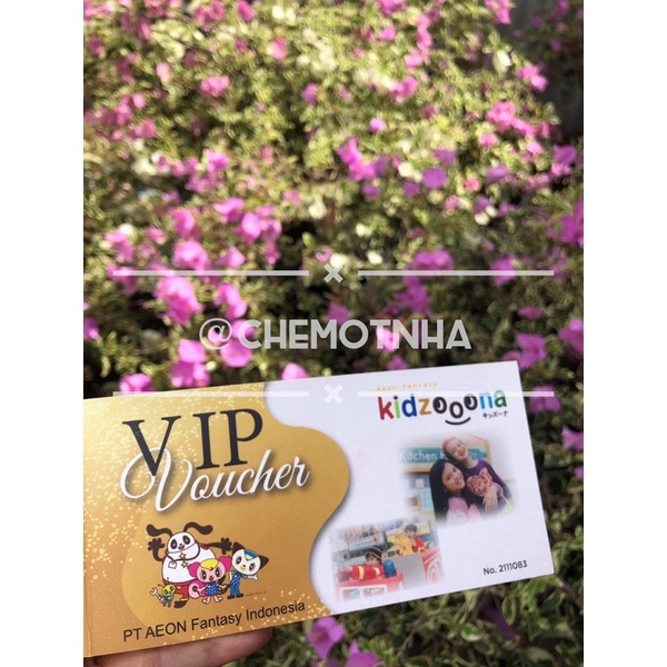 kidzoona voucher VIP All Day