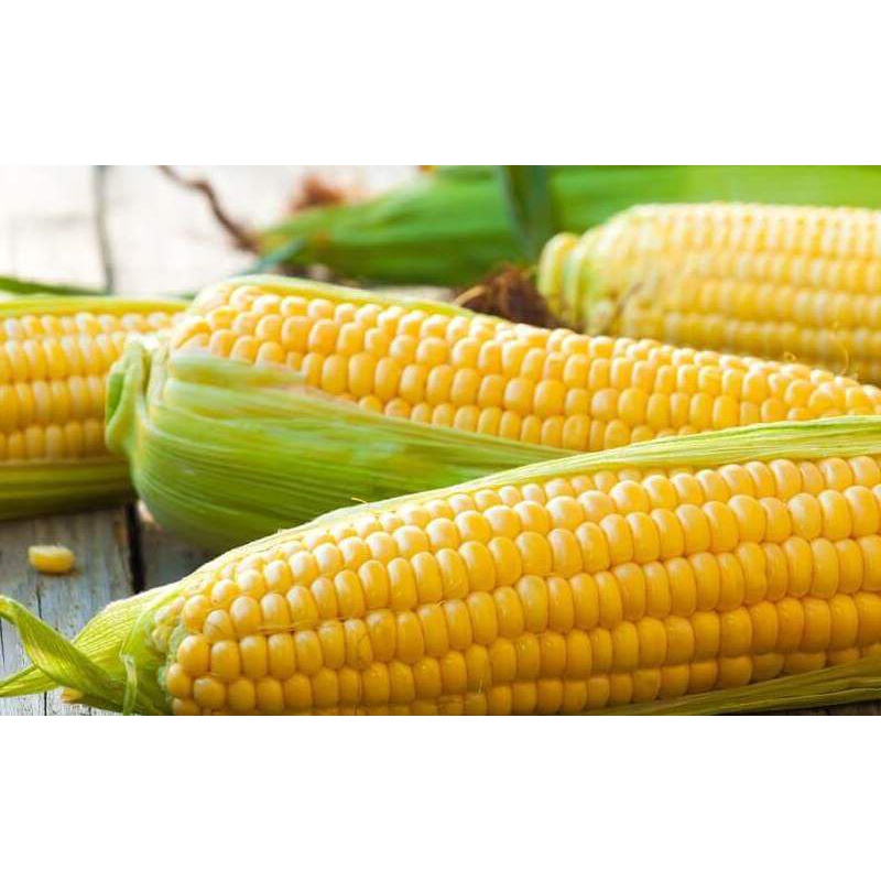 

Jagung Manis 500gr