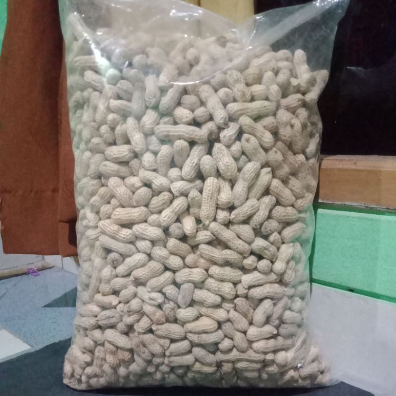 

Kacangkulitovenrenyahgurihhh