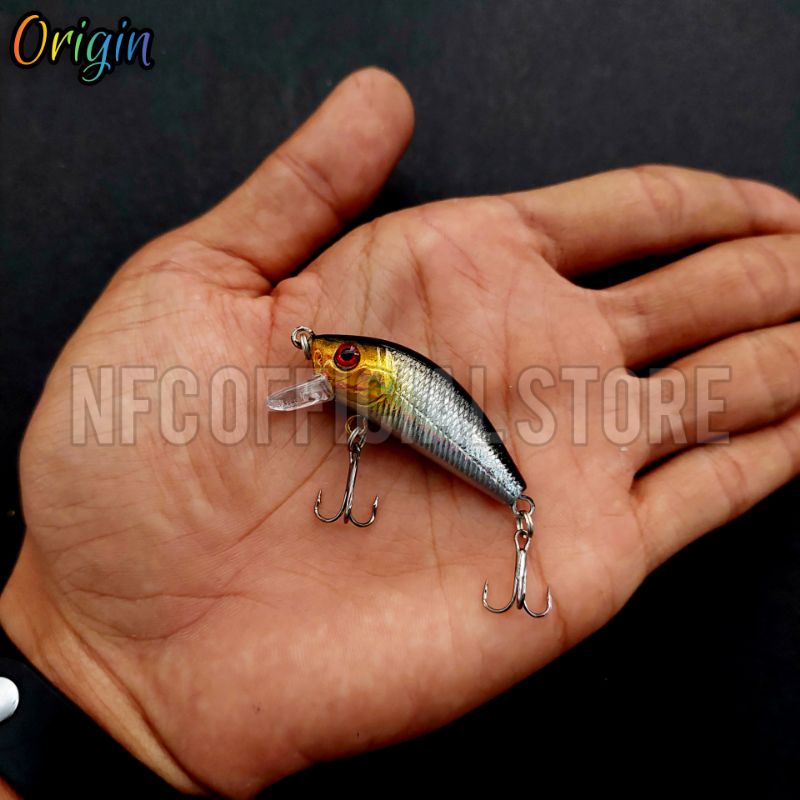 Lure minnow floating 5 cm 4,5 gram Best Killer Action