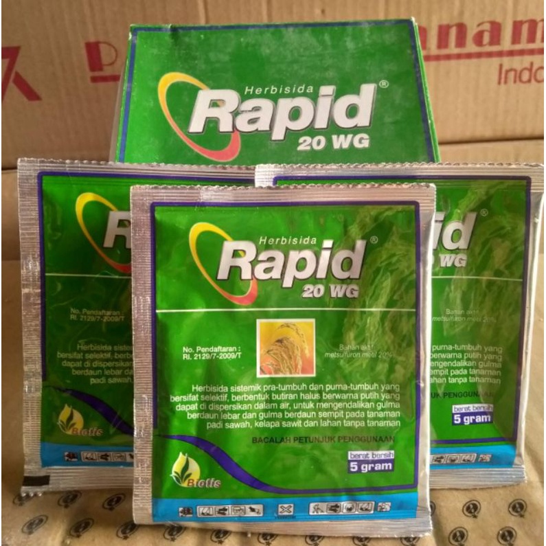 Herbisida RAPID 20WG 5GRAM