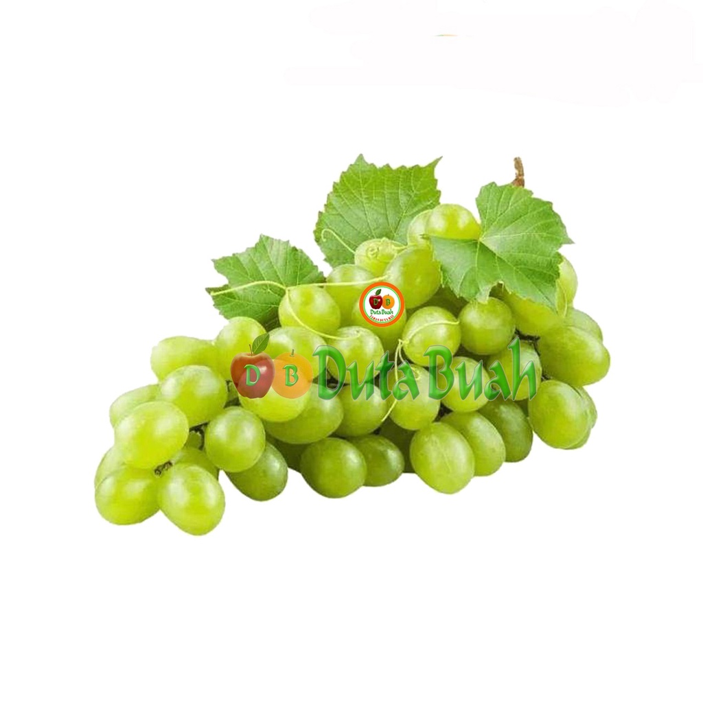 DUTA BUAH ANGGUR HIJAU LONJONG NON BIJI (+-500G)