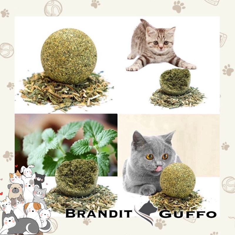 Catnip kucing anti stress catnip ball bulat cat bola cat nip