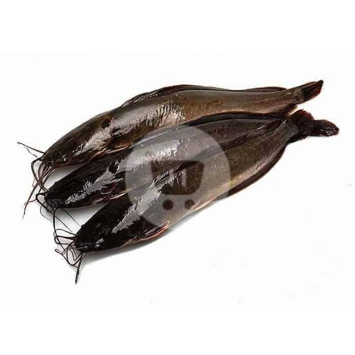 Ikan Lele Segar 1 kg