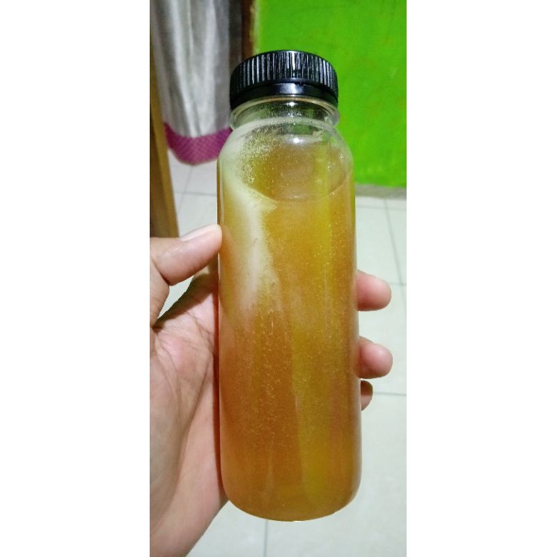 

madu klanceng