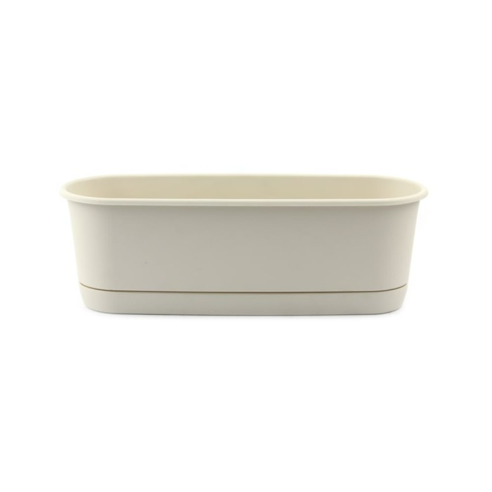 Clover Pot Tanaman - Putih