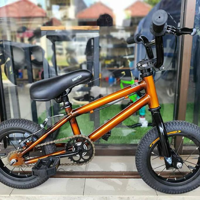 bmx bike for sale shopee