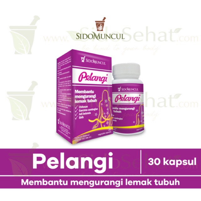 

Pelangi - Suplemen untuk membantu mengurangi lemak tubuh
