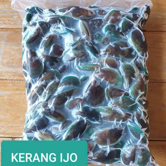 

Kerang hijau