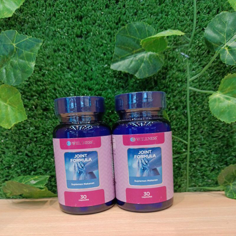 wellness joint formula 30s