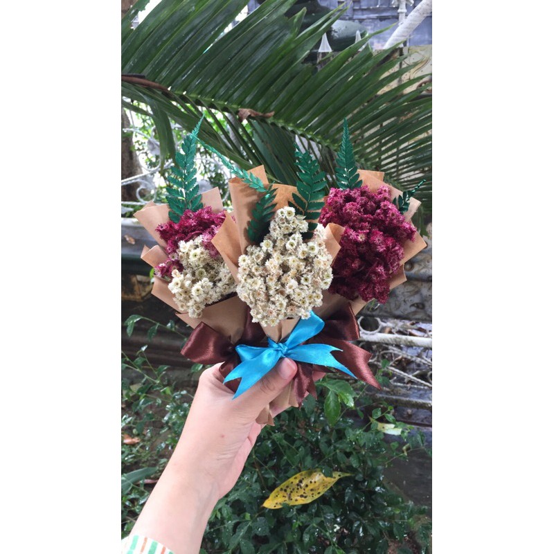 mini bucket edelweiss / bunga edelweiss