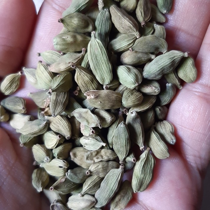 

Roxx.ea - Kapulaga Hijau/Kapulaga India/Kapulaga Arab 100Gram