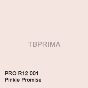 Cat Tembok Lenkote Aquamatt Tinting 5kg PRO R12 001 (Pinkie Promise)