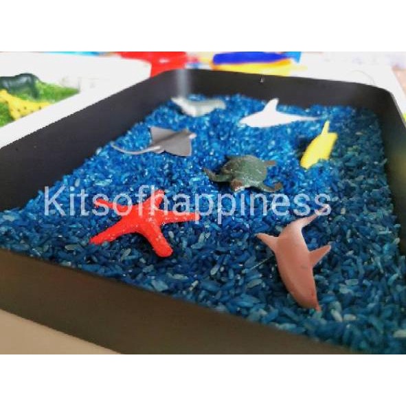 Dijamin Sampai Sensory tray nampan bermain / montessori tray sensory play