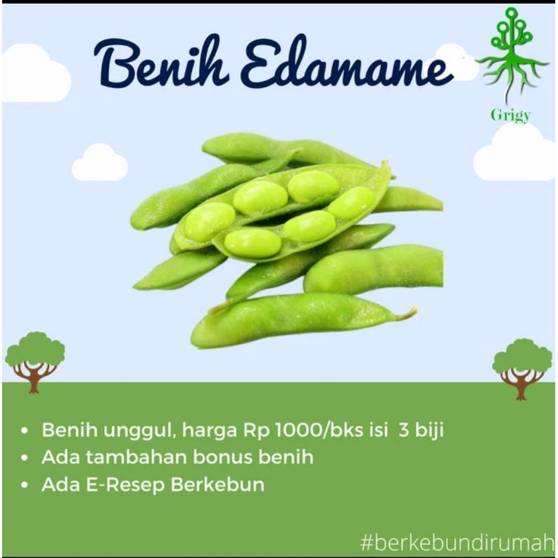 BENIH EDAMAME / BIBIT EDAMAME / BENIH KEDELAI JEPANG