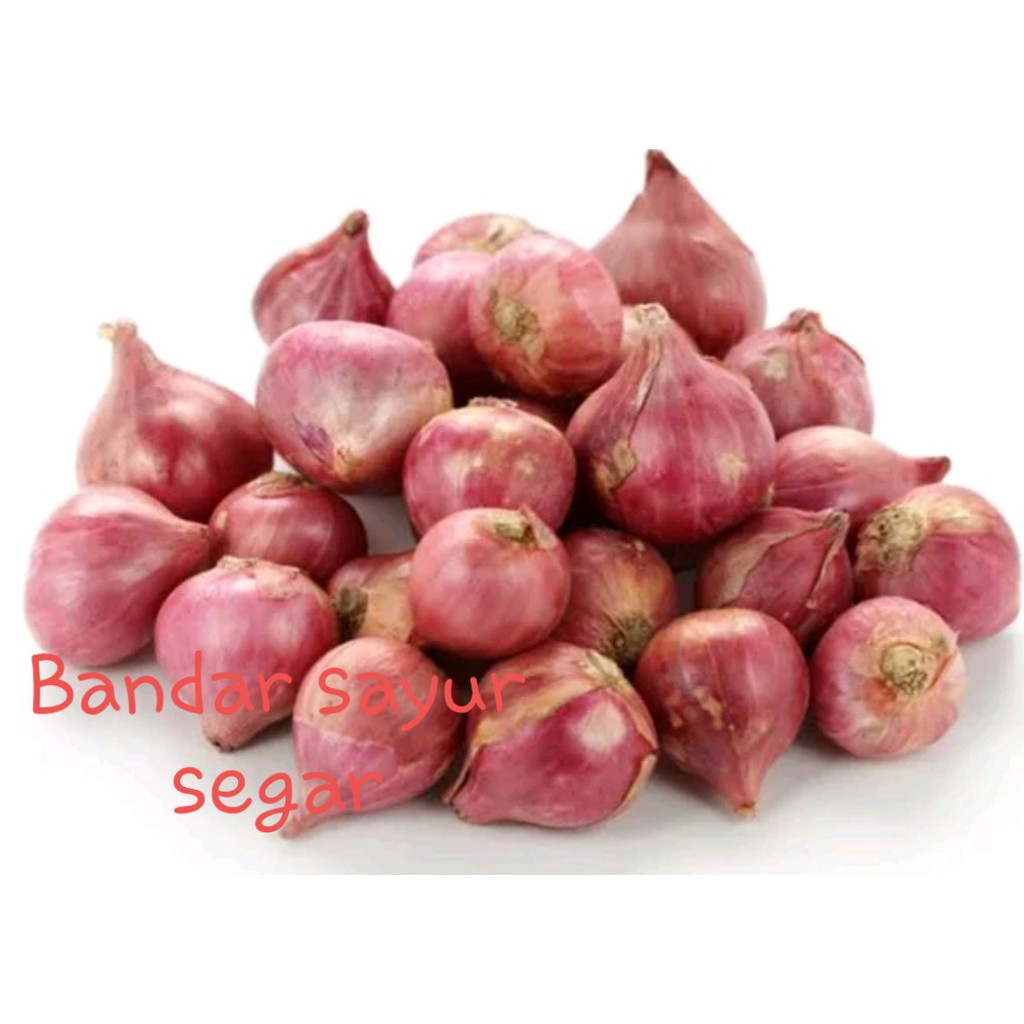 

Sayuran bawang merah bersih murah