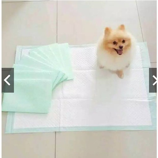 Diapro Underpad 60 x 90 Toilet Training Perlak Anjing Kucing Under Pad Alas