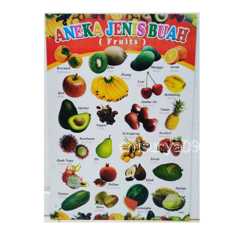 

Poster Edukasi Anak Belajar Alfabet Hijaiyah Buah Sayur Perkalian Penambahan Penguran