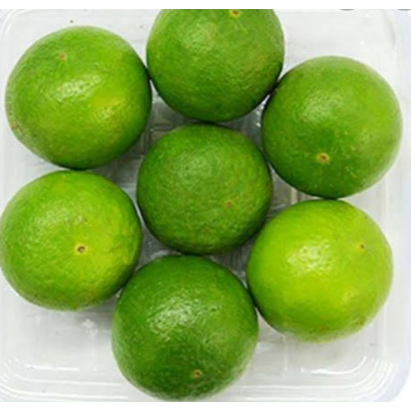 

Jeruk nipis