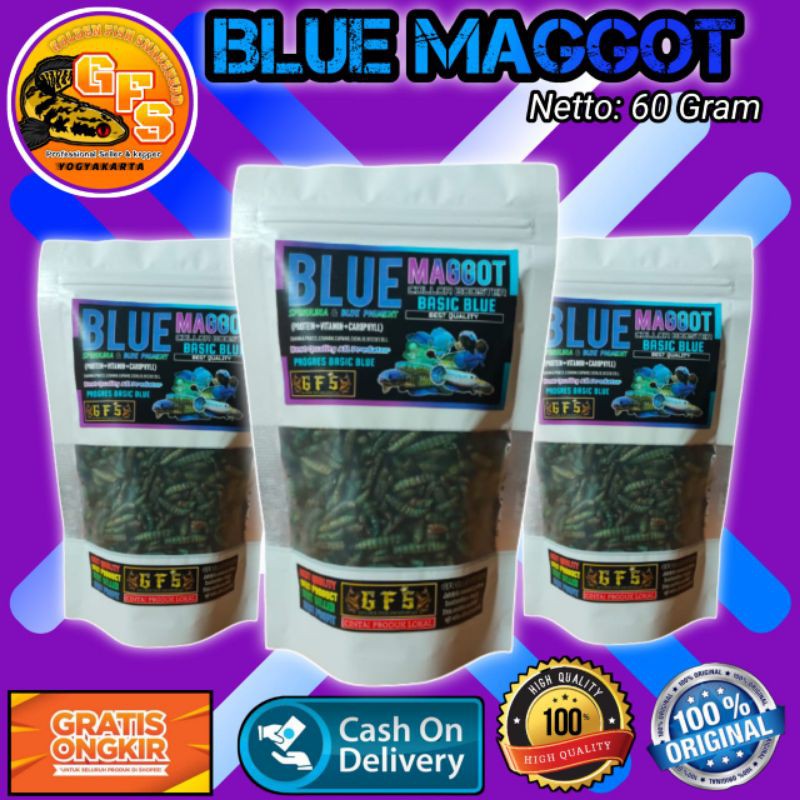 Blue Maggot Maggot GFS Maggot Blue Booster